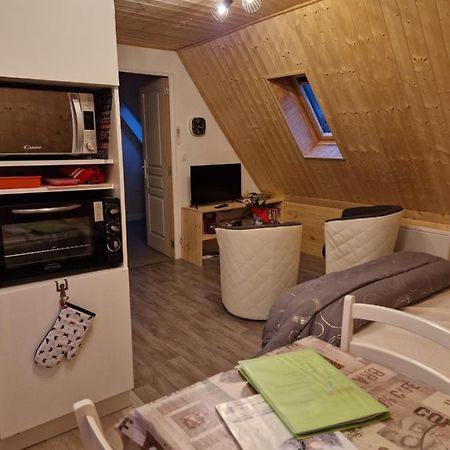 La Maison Des Fleurs Studio Le Mont-Dore Εξωτερικό φωτογραφία