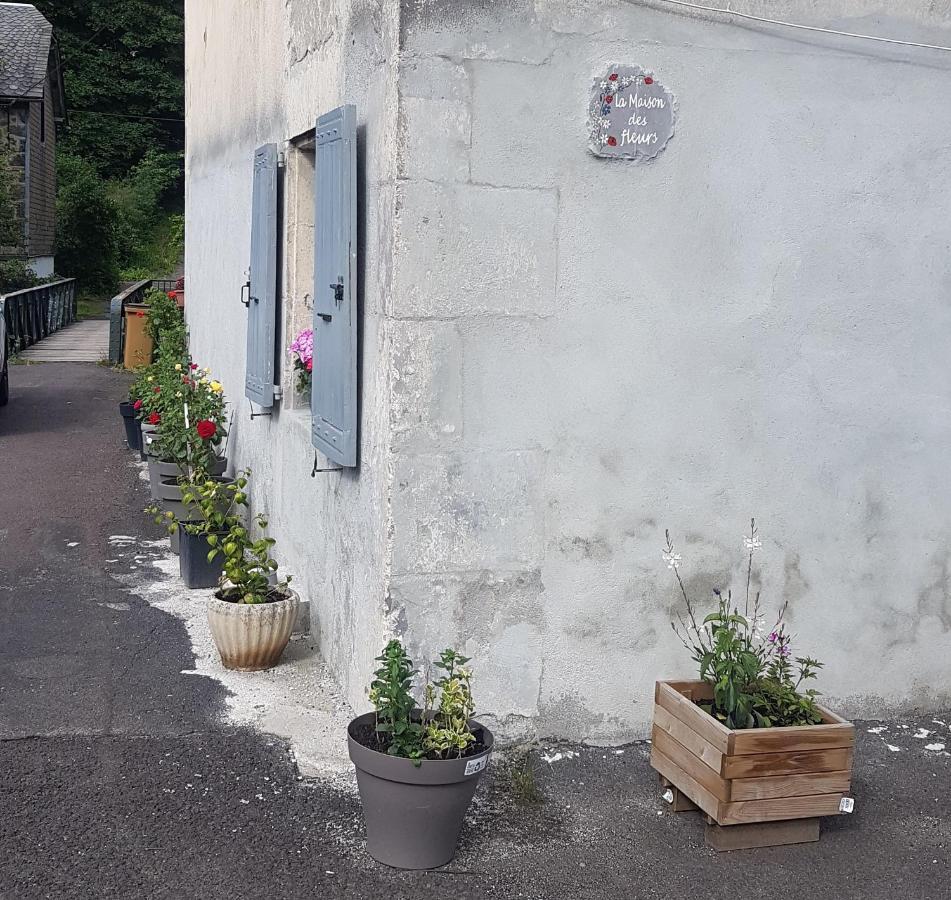La Maison Des Fleurs Studio Le Mont-Dore Εξωτερικό φωτογραφία